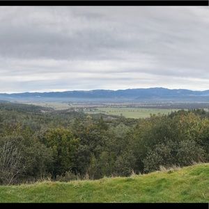 Meet your Posher, Juanita